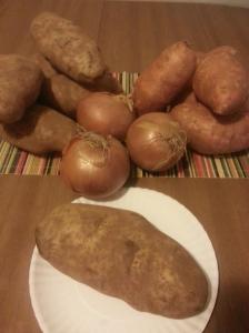 Tater's 'n Onions