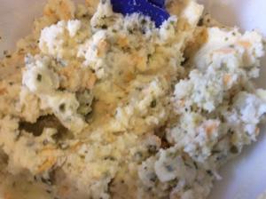 10997332_624855527615366_62242810598155426_n